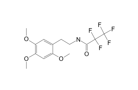 2-(2,4,5-Trimethoxyphenyl)ethylamine, pfp