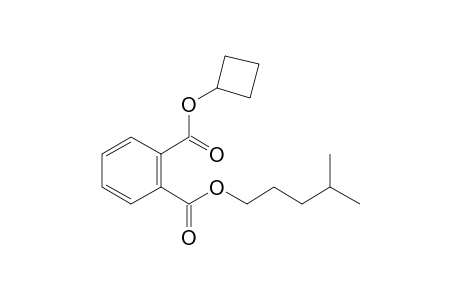 Phthalic acid, cyclobutyl isohexyl ester