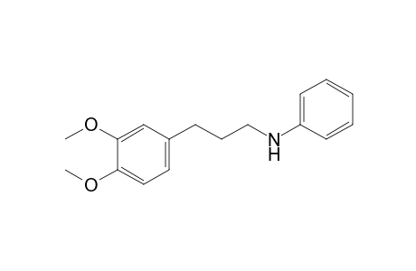 N-[3-(3,4-dimethoxyphenyl)propyl]aniline