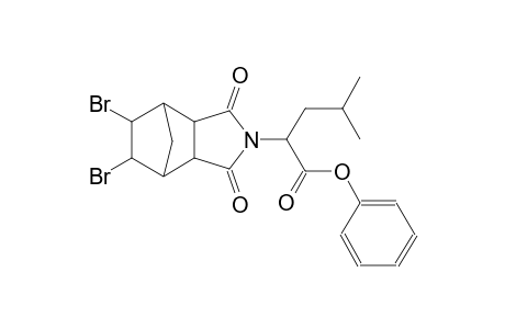 phenyl 2-(5,6-dibromo-1,3-dioxohexahydro-1H-4,7-methanoisoindol-2(3H)-yl)-4-methylpentanoate