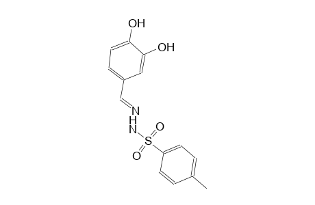 N'-[(E)-(3,4-dihydroxyphenyl)methylidene]-4-methylbenzenesulfonohydrazide