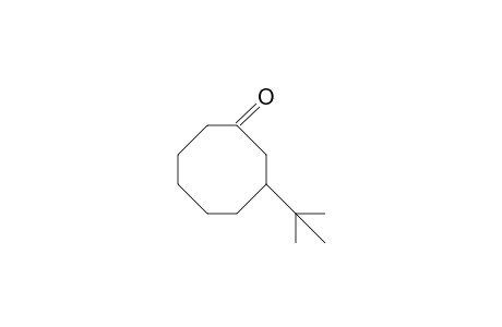 3-tert-Butyl-cyclooctanone