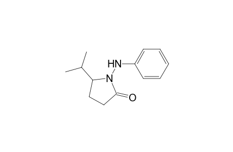 2-Pyrrolidinone, 5-(1-methylethyl)-1-(phenylamino)-