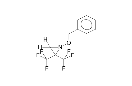 1-BENZYLOXY-2,2-BIS(TRIFLUOROMETHYL)AZIRIDINE