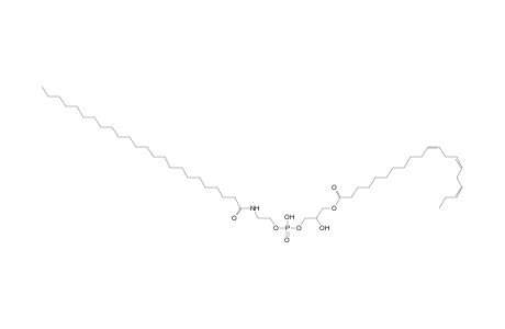 LNAPE 20:3/N-24:0