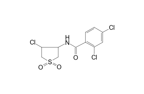 2,4-bis(chloranyl)-N-[4-chloranyl-1,1-bis(oxidanylidene)thiolan-3-yl]benzamide
