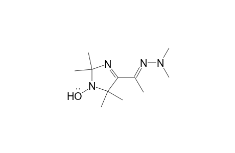 4-(1-Dimethylhydrazonoethyl)-2,2,5,5-tetramethyl-3-imidazoline-1-oxile