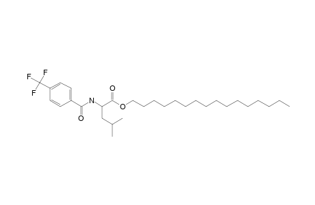 L-Leucine, N-(4-trifluoromethylbenzoyl)-, hexadecyl ester