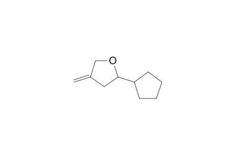 2-Cyclopentyl-4-methyleneoxolane
