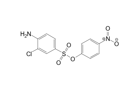 Benzenesulfonic acid, 4-amino-3-chloro-, 4-nitrophenyl ester
