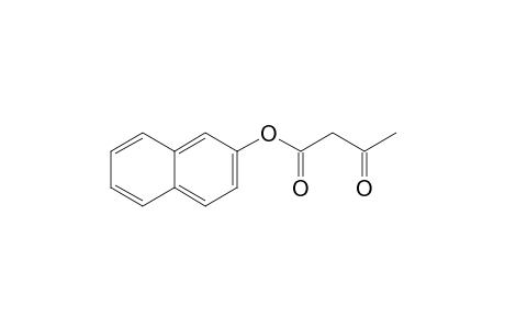 acetoacetic acid, 2-naphthyl ester
