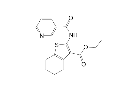 ethyl 2-[(3-pyridinylcarbonyl)amino]-4,5,6,7-tetrahydro-1-benzothiophene-3-carboxylate