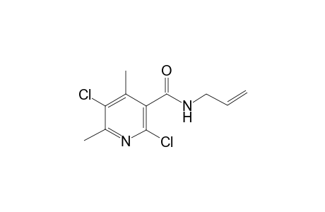 N-Allyl-2,5-dichloro-4,6-dimethyl-nicotinamide