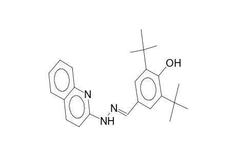 2,6-di-tert-butyl-4-(2-quinolinylhydrazonomethyl)phenol