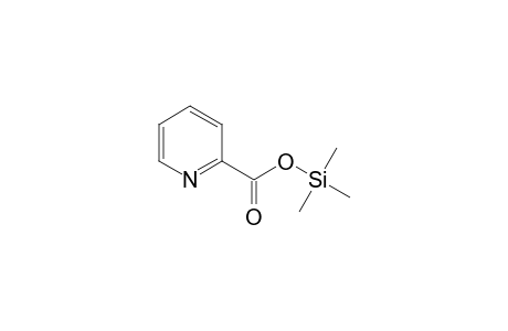 Picolinic acid, trimethylsilyl ester
