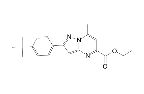 ethyl 2-(4-tert-butylphenyl)-7-methylpyrazolo[1,5-a]pyrimidine-5-carboxylate