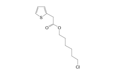 Thiophene-2-acetic acid, 6-chlorohexyl ester