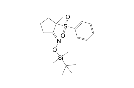 2-Methyl-2-phenylsulfonylcyclopentan-1-one oxime-O-tert-butyldimethylsilyl ether