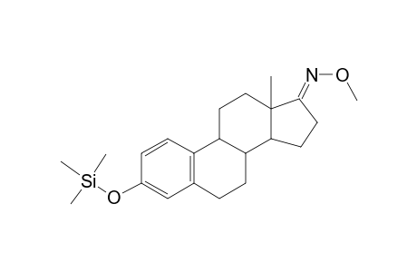Estrone methoxime, mono-TMS, isomer 1