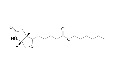 Biotin-hexyl-ester