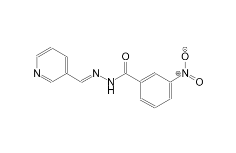 3-nitro-N'-[(E)-3-pyridinylmethylidene]benzohydrazide