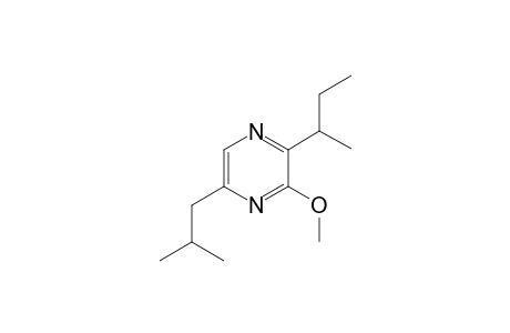 2-Butan-2-yl-3-methoxy-5-(2-methylpropyl)pyrazine