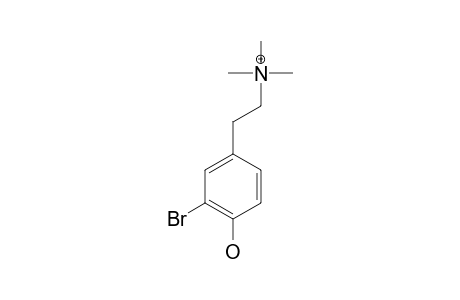 2-(4-HYDROXY-3-BROMOPHENYL)-N,N,N-TRIMETHYLETHAN-AMINIUM