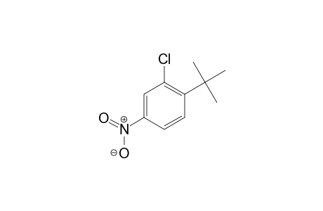 Benzene, 2-chloro-1-(1,1-dimethylethyl)-4-nitro-