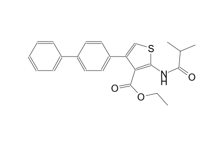 ethyl 4-[1,1'-biphenyl]-4-yl-2-(isobutyrylamino)-3-thiophenecarboxylate