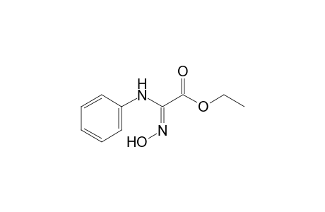 2-(hydroxyamino)-2-phenylimino-acetic acid ethyl ester