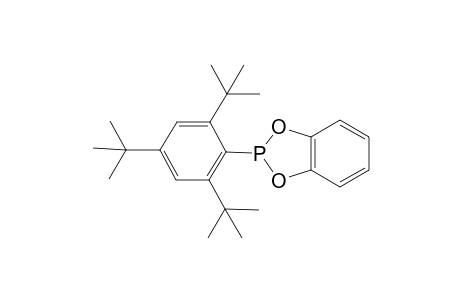 2-(2,4,6-Tri-tertbutylphenyl)benzo-1,3,2-dioxaphospholane