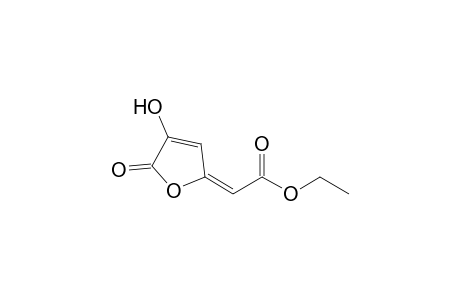 3-Hydroxy-5-(ethoxycarbonylmethylene)dihydrofuran-2-one