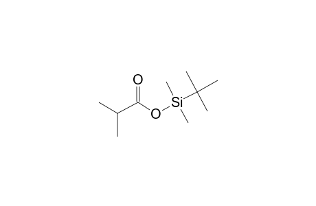 tert-Butyl(dimethyl)silyl 2-methylpropanoate