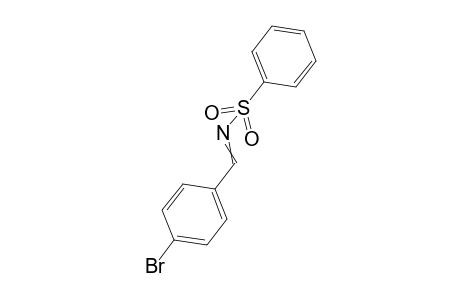 N-[(4-Bromophenyl)methylidene]benzenesulfonamide