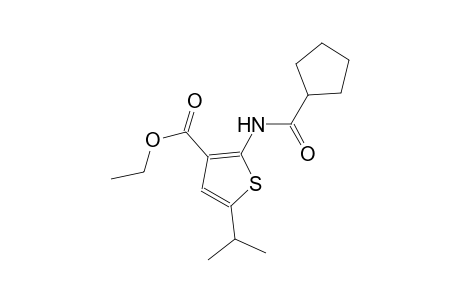 ethyl 2-[(cyclopentylcarbonyl)amino]-5-isopropyl-3-thiophenecarboxylate