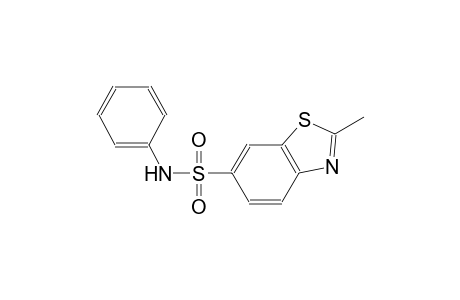 2-methyl-N-phenyl-1,3-benzothiazole-6-sulfonamide