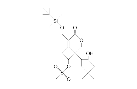 2',7-Dihydroxy-4,4'-dimethyl-6-cyclopentyl-2-([T-butyl-dimethyl-silyl]-methyl)-4-oxa-bicyclo(4.2.0)oct-1-ene 7-methanes