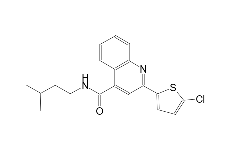2-(5-chloro-2-thienyl)-N-isopentyl-4-quinolinecarboxamide