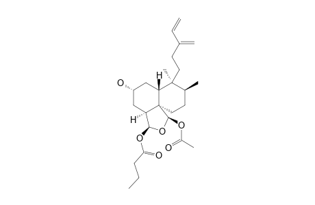 CASEABALANSIN_B;RE-(2-R,4-S,5-R,8-S,9-S,10-R,18-S,19-R)-18-BUTANOYLOXY-19-ACETOXY-18,19-EPOXYCLERODA-13-(16),14-DIEN-2-OL