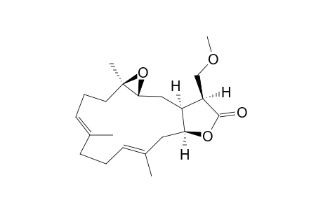 15-Methoxymethyleuniolide