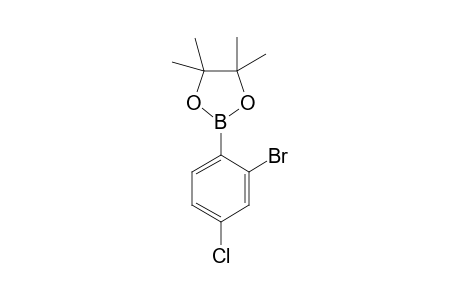 2-(2-bromo-4-chloro-phenyl)-4,4,5,5-tetramethyl-1,3,2-dioxaborolane