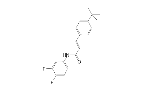 (2E)-3-(4-tert-butylphenyl)-N-(3,4-difluorophenyl)-2-propenamide