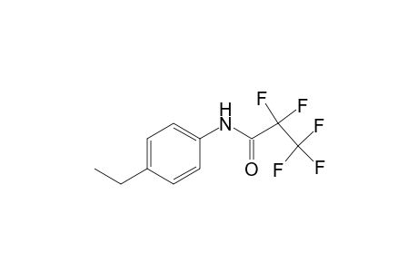 N-pentafluoropropionyl-4-ethylaniline