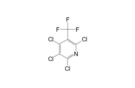 3-TRIFLUOROMETHYL-2,4,5,6-TETRACHLOROPYRIDINE