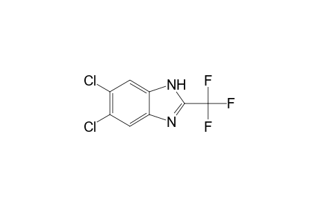 1H-Benzimidazole, 5,6-dichloro-2-(trifluoromethyl)-