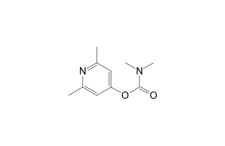 Carbamic acid, dimethyl-, 2,6-dimethyl-4-pyridinyl ester