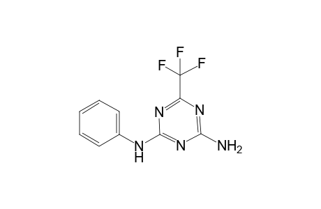 2-N-phenyl-6-(trifluoromethyl)-1,3,5-triazine-2,4-diamine