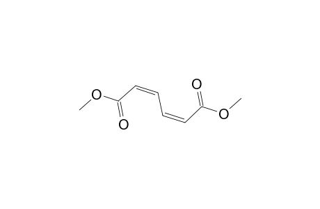 2,4-Hexadienedioic acid, dimethyl ester, (Z,Z)-