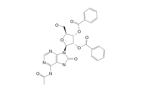 6-N-ACETYL-2',3'-DI-O-BENZOYL-8-OXOADENOSINE