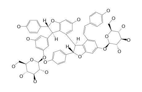 FOENICULOSIDE-XI;CIS-MIYABENOL-C-11A,13C-BIS-(BETA-D-GLUCOPYRANOSIDE)